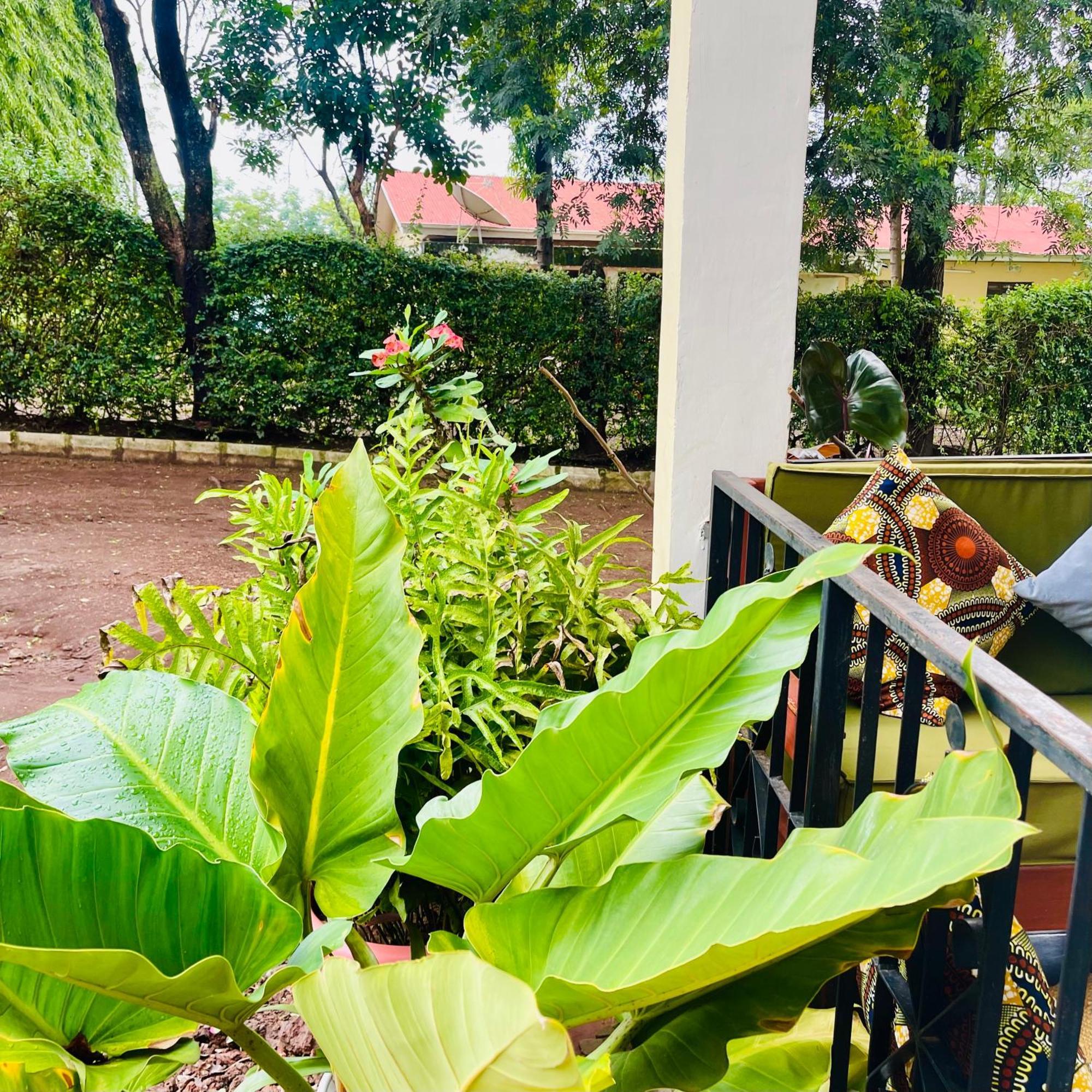 Sophie Homestay Moshi Buitenkant foto